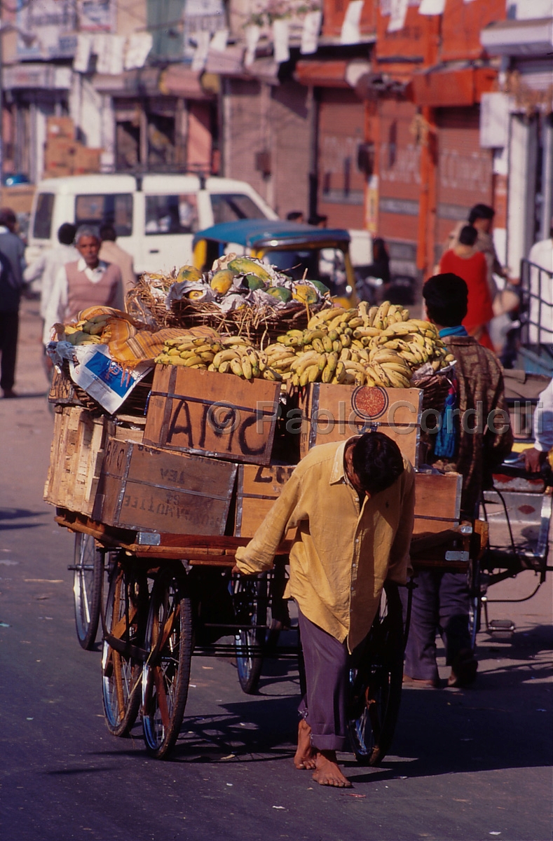 Jodhpur, Rajasthan, India
(cod:India 36)